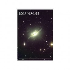은하포스터(ESO 510-G13)