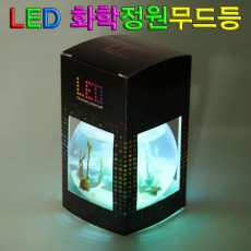 LED 화학정원 무드등만들기(5인용)