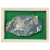 고사리화석표본 (프리미엄 50 x 70mm)