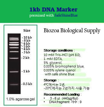 DNA Marker(Ladder)