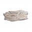 나무화석모형
